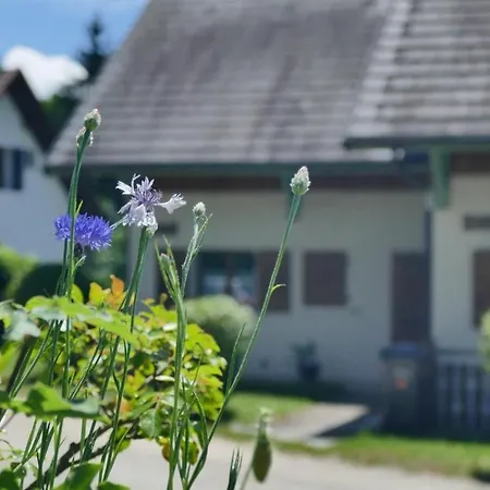 Les Pignons Verts Menthon-Saint-Bernard